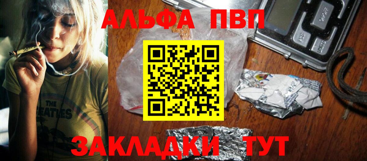 Альфа ПВП СК Мытищи
