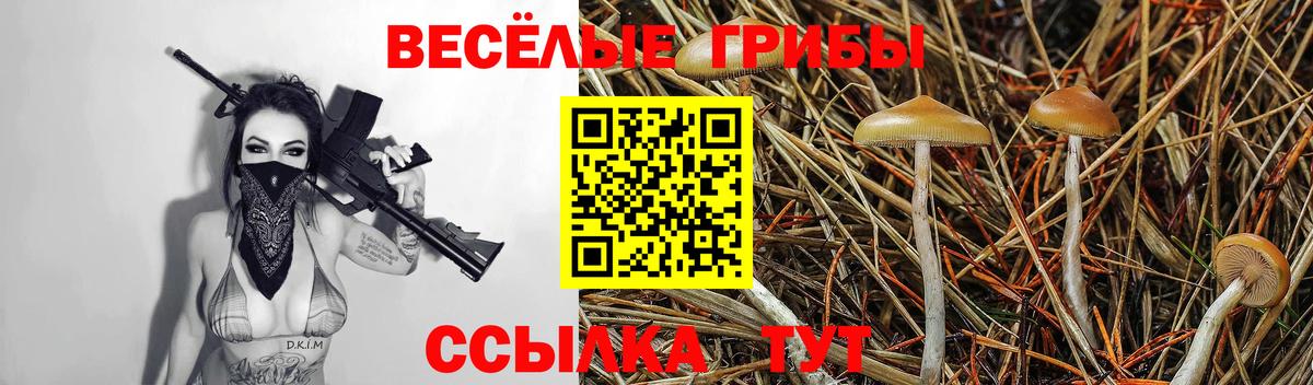 Псилоцибиновые грибы Psilocybe Мытищи