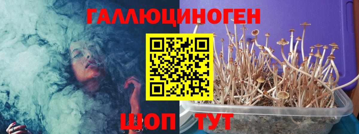 где найти   Вход с VPN  Мытищи  Галлюциногенные грибы мицелий  Галлюциногенные грибы прущие грибы 